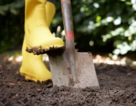 close up of a yellow rubber boot pushing a shovel into to the ground